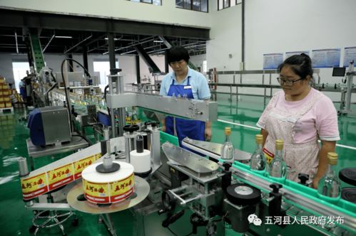 安徽淮酒新廠正式啟用，開啟酒類經營新篇章